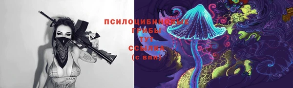 дмт Горно-Алтайск