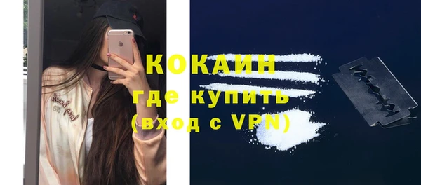 дмт Горно-Алтайск