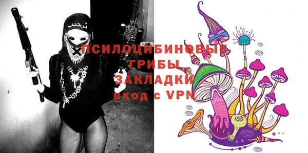 не бодяженный Горнозаводск