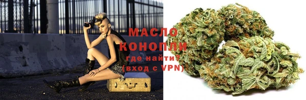 дмт Горно-Алтайск
