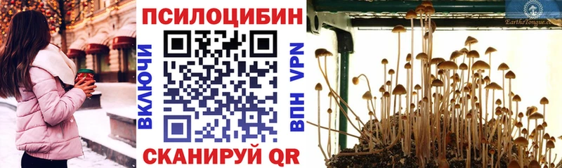 Псилоцибиновые грибы мицелий  Мезень 